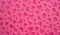 Embossed Heart Fuchsia-Double Luxe Minky Blanket product 1